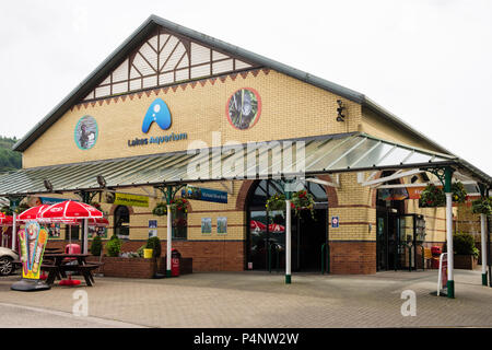 Lakes Aquarium Lake Windermere Cumbria England UK Stock Photo Alamy lakes-aquarium-lake-windermere-cumbria-england-uk-stock-photo-alamy