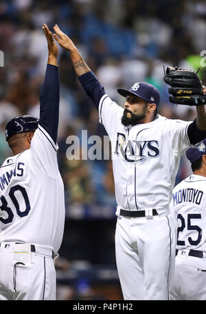 Tampa Bay Rays opener Sergio Romo got a new puppy - DRaysBay