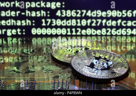 Two bitcoins lies on a videocard surface with background of screen display of cryptocurrency mining by using the GPUs . Stock Photo