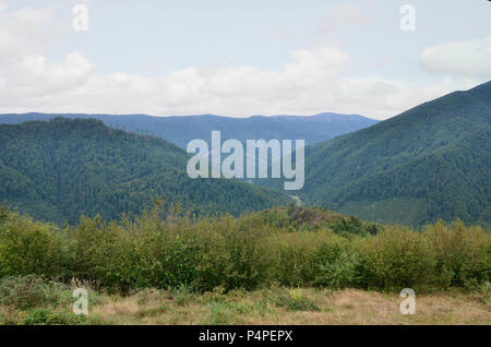 Fragment of the mountainous terrain in the Carpathians, Ukraine. The forest is forgiven by the reliefs of the Carpathian Mountains . Stock Photo