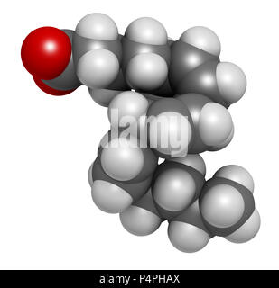 Gamma-linolenic acid (GLA, gamolenic acid) molecule. Omega-6 fatty acid present in many vegetable oils, including evening primrose, chia, hemp and bor Stock Photo