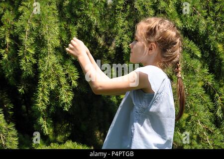 Beautiful white blonde girl, tangled hair,  8 years old, smiling and touching pine branches in park, selective focus, close up, profile portrait Stock Photo