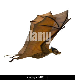Icaronycteris Bat Wings Up - Icaronycteris index is the first bat known to science and lived in North America in the Eocene Period. Stock Photo