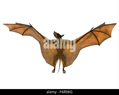 Icaronycteris Bat Wings - Icaronycteris index is the first bat known to science and lived in North America in the Eocene Period. Stock Photo