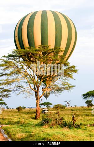 Hot air balloon safari. Photographed in Serengeti National Park, Tanzania. Stock Photo