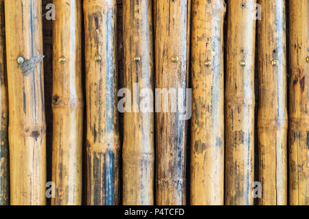 Vintage bamboo wall textured, Old pattern background concept. Stock Photo
