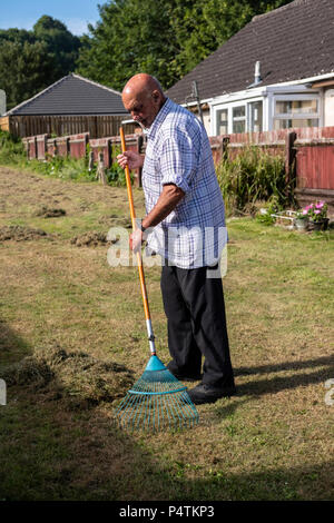 Old man raking up cut grass after the lawn has been mowed Stock Photo ...