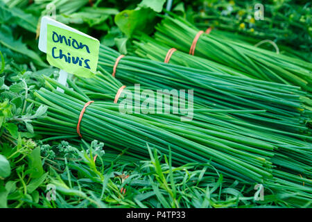 Fresh Onion Chives at a Local Farmer's Market Stock Photo