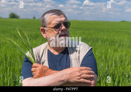 Nice portrait of Ukrainian senior farmer standing inside unripe crops field and taking several spikelets Stock Photo