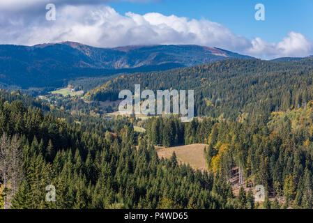 Blackforest close to Titisee in Germany Stock Photo