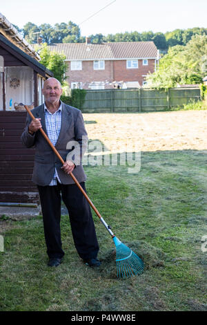 Old man raking up cut grass after the lawn has been mowed. Stock Photo