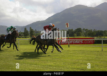 Killarney Horse Race, two horses neck to neck to the final post, Killarney mountains in the background, County Kerry, Ireland. Stock Photo