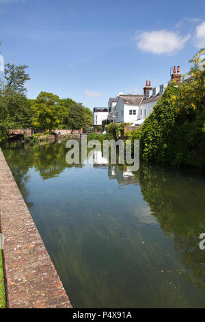 City of Canterbury, England. Picturesque summer view of the Great Stour at Canterbury’s Abbot’s Mill Garden. Stock Photo