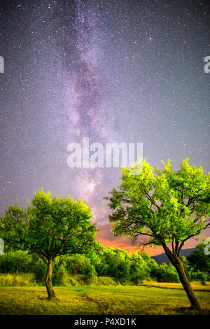 A view of the stars of the Milky Way. Green plum trees with plums high in the mountain in the foreground. Night sky nature summer landscape. Perseid M Stock Photo