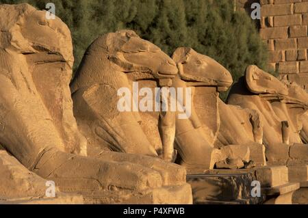 Egyptian Art. Karnak Temple. Avenue of sphinxes with ram's head (symbol of the god Amon). Built during the reign of Ramses II. 19th Dynasty. New Kingdom. Around Luxor. Egypt. Stock Photo