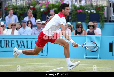Serbia's Novak Djokovic during day six of the Fever-Tree Championship at the Queen's Club, London. PRESS ASSOCIATION Photo. Picture date: Saturday June 23, 2018. See PA story TENNIS Queens. Photo credit should read: Steven Paston/PA Wire. . Stock Photo