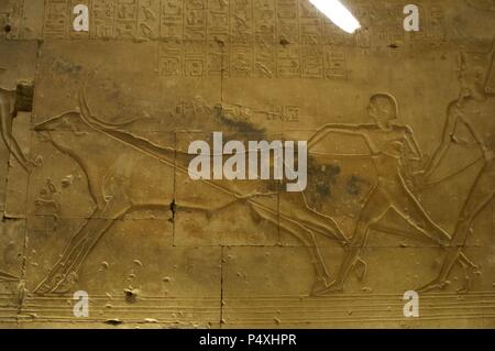 pharaoh ramses ii lassoing a bull with seti i