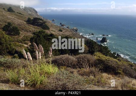 ESTADOS UNIDOS. Panorámica del paisaje costero en los alrededores de Point Reyes National Seashore. Estado de California. Stock Photo