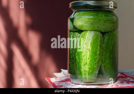 Pickled homemade sunny cucumbers in the glass jar Stock Photo