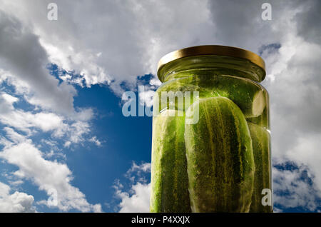 Collage of Pickled homemade sunny cucumbers in the glass jar Stock Photo