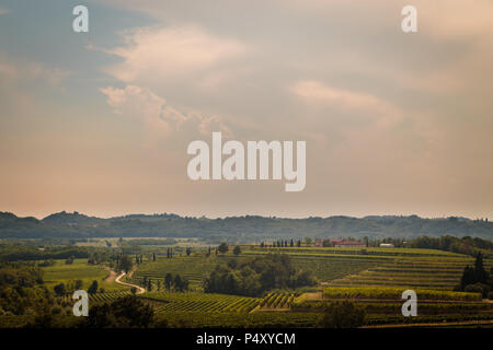 Storm is approaching the vineyards in the fields of Collio, Italy Stock Photo