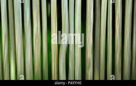 Abstract motion blurred of fence Stock Photo