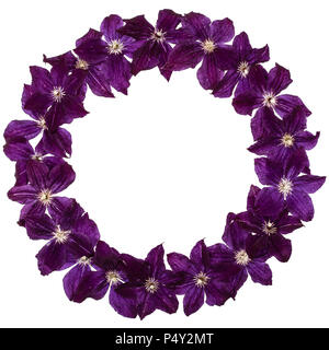Round frame from  the flowers of clematis, isolated on white background Stock Photo