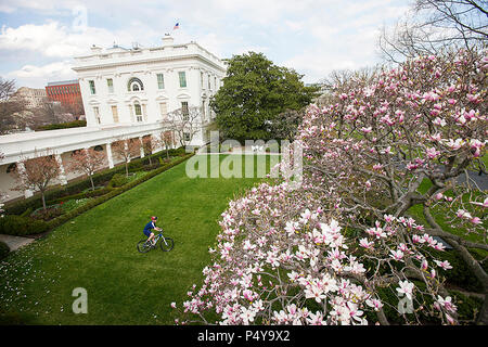President George W. Bush rides his bike through the Rose Garden, March 26, 2008.  Photo by Eric Draper, Courtesy of the George W. Bush Presidential Library and Museum Stock Photo