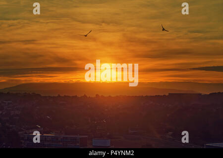 Glasgow, Scotland, UK 24th  June. UK Weather: Sunrise brings a sunny start to the morning with the sun pouring over the Campsie Fells hills to the north of Glasgow over the communities of East Dunbartonshire and the suburbs of north Glasgow .Gerard Ferry/Alamy news Stock Photo