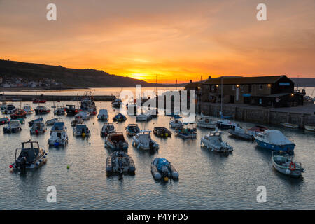 Lyme Regis, Dorset, UK.  24th June 2017.  UK Weather.   A golden sunrise at The Cobb harbour at the seaside resort of Lyme Regis in Dorset.  Picture Credit: Graham Hunt/Alamy Live News Stock Photo