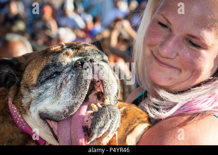 what is the name of the worlds ugliest dog 2018