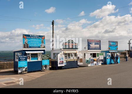 Kiosks selling tickets for Farne Islands sea trips, Seahouses harbour, Northumberland, UK Stock Photo