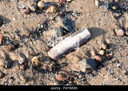 Pebbles and shells on the beach Stock Photo
