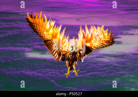 A phoenix in flames rising from the ashes Stock Photo