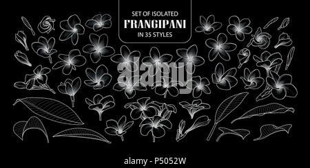 Set of isolated frangipani in 35 styles. Cute hand drawn flower vector illustration only white outline on black background. Stock Vector