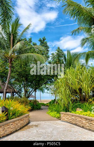 Lush tropical vegetation in the grounds of the Shangri La Rasa Ria, Borneo, Malaysia Stock Photo