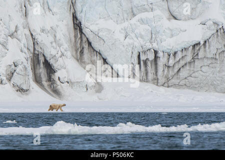 Norway, Svalbard, Soraust-Svalbard Nature Reserve, Barentsoya, Freemansundet (Freeman Sound) waterway between the islands of Edgeøya and Barentsøya. Stock Photo