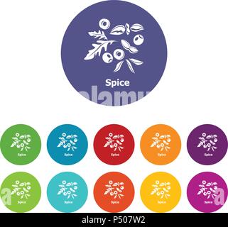 Spice icons set vector color Stock Vector