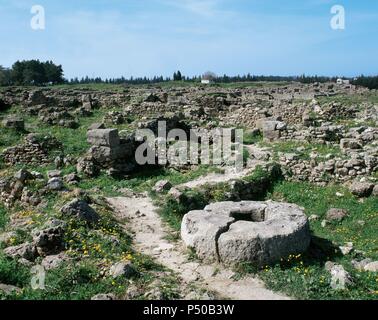 Syria. Ugarit. Ancient port city on the eastern Mediterranean at the Ras Shamra. Explendor period: 1450BC-1180BC. Landscape. Ruins. Stock Photo