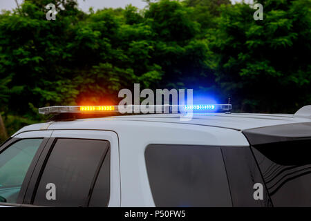 Blue and red flashing sirens of police car during the roadblock Stock Photo