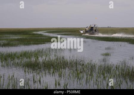 United States. Everglades National Park. Florida. Stock Photo