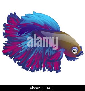 Cartoon blue betta fish, siamese fighting fish, betta splendens isolated on white background. Vector illustration. Stock Vector