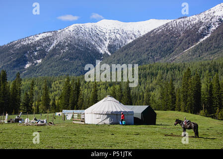 Home on the range; yurts at Kanas Lake National Park, Xinjiang, China Stock Photo