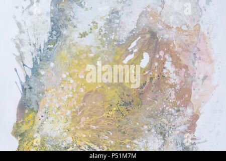 Abstract oil painting. Squirrel  on white background, close up. Stock Photo