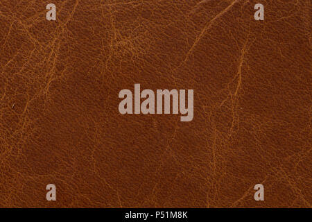 Classic leather texture in simple brown colour. Stock Photo