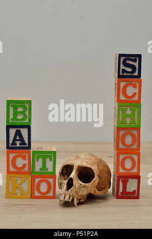 Back to school spelled in colorful blocks with a monkey skull Stock Photo