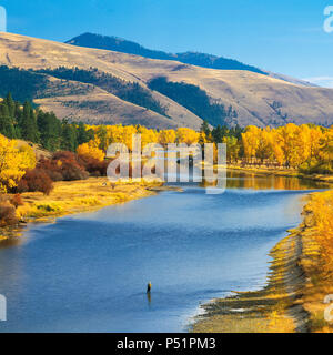 fisherman and fall colors along the bitterroot river near missoula, montana Stock Photo