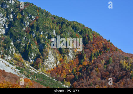 The mountain is colored in autumn Stock Photo