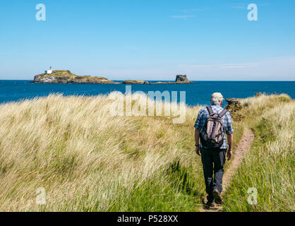 John Muir Way, East Lothian, Scotland, UK, 24th June 2018. UK Weather: A warm sunny day during the 2018 Summer heatwave brought people to the coast for leisure pursuits. A senior man walks along the coastal path with a view of the lighthouse on Fidra Island, reputedly the inspiration for Robert Louis Stevenson’s novel Treasure Island Stock Photo
