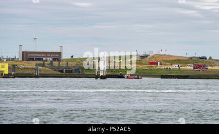 Rotterdam,Holland,24-6-2018: animal ambulances and other emergency services to catch oil infected birds after a big oil leakage in the rotterdam harbor, a boat hit the harbor and lost 220 tons of oil in the water Credit: chris willemsen/Alamy Live News Stock Photo